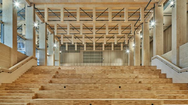 Architectural project - open ceiling, bright hall, ceiling lights, wooden steps, wood building, amphitheater, stepped seating, natural materials, wood, timber, raw materials, sustainable design, warm tones, eco design, neutral tones, exposed beams, daylight, plywood, industrial vibe, gathering space, beige, brown, golden, engineered wood, sunlight, industrial touch, neutral palette, social space, public space, timber building, timber panels, timber walls, wood panels, CLT, cross laminated timber, Nordic design, wood walls, timber interior, open plan, inviting space, green design, Scandinavian design, wood ceiling, open space, high ceiling, double height, structural rhythm, wood interior