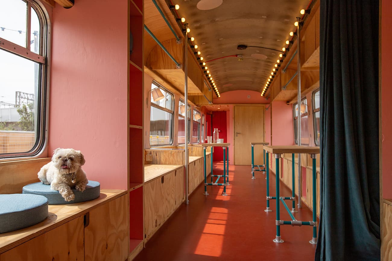 Architectural project - retro vibe, red floor, eclectic vibe, train cabin, train interior, cozy train, colorful interior, lounge seating, bench seating, plywood walls, pink walls, color pop, fun design, nostalgic look, metal fixtures, blue accents, curtain divider, compartment design, pet friendly, traveling cabin, travel experience, creative design, quirky style, modern touch, comfy interior, LED lights, gathering place, public transport, interior design ideas, architecture, repurposed space, upcycled design, colorful tones, pink, timber, natural light, sustainable design, natural tones, daylight, plywood, multifunctional space, blue, social space, community hub, relaxed atmosphere, vibrant space, eco-friendly materials, timber walls, window view, wood walls, inviting space, terracotta, built-in seating, playful space, warm lighting, renovation, terracotta floor, red