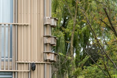 Architectural project - vertical lines, integration with nature, backyard, wood, timber, outdoor space, sustainable design, warm tones, eco design, green building, sustainable architecture, beige, wood facade, timber facade, light wood, exterior wall, eco friendly, exterior detail, facade detail, neutral palette, wood panels, natural material, earth tones, biophilic design, passive house, timber cladding, harmonious design, inviting space, natural environment, garden view, nature integration, minimalist exterior, wooden elements, wooden cladding, modern home, contemporary facade, vertical cladding, modern exterior, natural surroundings, residential facade