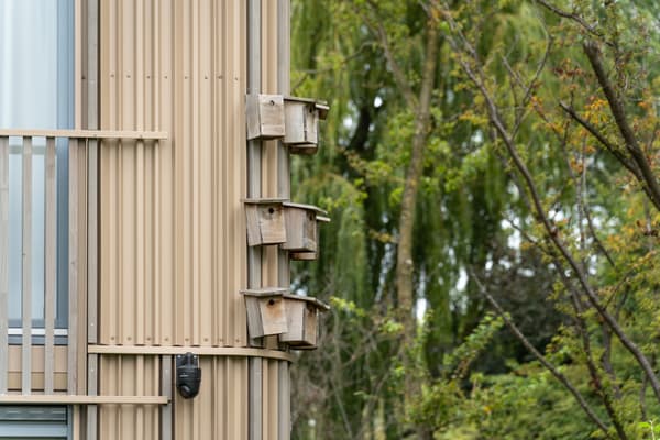Architectural project - vertical lines, integration with nature, backyard, wood, timber, outdoor space, sustainable design, warm tones, eco design, green building, sustainable architecture, beige, wood facade, timber facade, light wood, exterior wall, eco friendly, exterior detail, facade detail, neutral palette, wood panels, natural material, earth tones, biophilic design, passive house, timber cladding, harmonious design, inviting space, natural environment, garden view, nature integration, minimalist exterior, wooden elements, wooden cladding, modern home, contemporary facade, vertical cladding, modern exterior, natural surroundings, residential facade