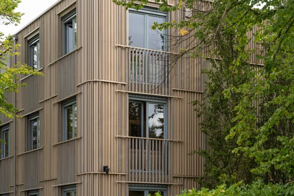 Architectural project - linear architecture, apartment block, vertical lines, timber slats, minimal design, natural materials, wood, timber, natural light, outdoor living, warm tones, eco design, beige, wood facade, timber facade, light wood, wood exterior, modern design, timber construction, honey wood, neutral palette, wood construction, eco-friendly materials, sustainable building, green architecture, biophilic design, passive house, modern facade, timber cladding, wood cladding, harmonious design, energy efficient, greenery, timber exterior, residential building, contemporary facade, urban nature, vertical slats, facade rhythm, lush surroundings, integrated landscape