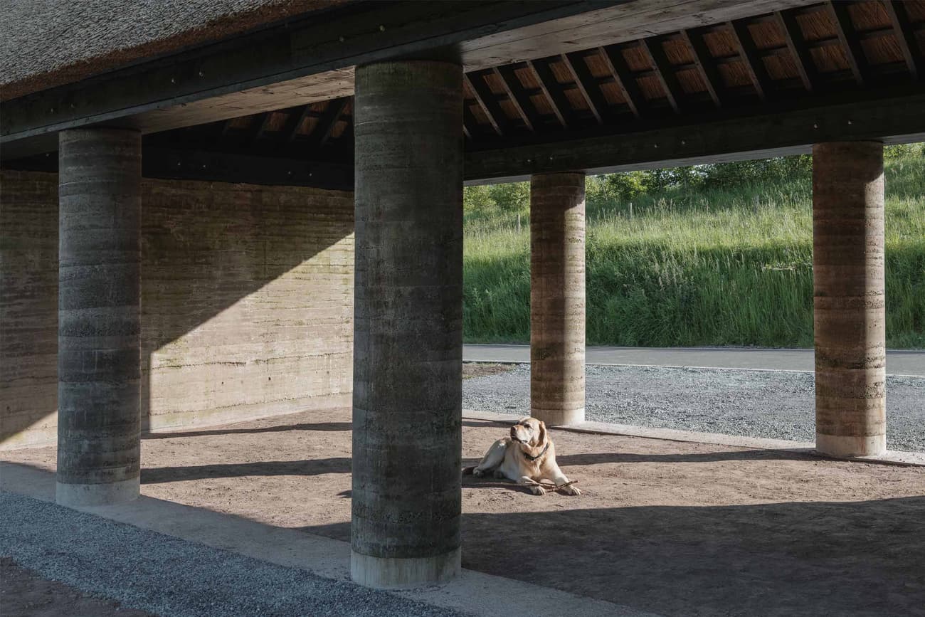 Architectural project - natural shade, countryside vibe, shaded area, concrete columns, natural materials, sustainable materials, timber, raw materials, outdoor space, sustainable design, simple structure, exposed beams, gathering space, beige, brown, concrete, open structure, rural architecture, timber beams, minimalist design, passive cooling, outdoor pavilion, rammed earth, earthy texture, earth tones, modern rustic, green setting, architectural simplicity, landscape view, earthy tones, rustic design, shelter design, countryside architecture, quiet retreat, open pavilion, rural setting, earthy palette, open air, eco architecture
