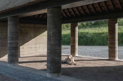 Architectural project - natural shade, countryside vibe, shaded area, concrete columns, natural materials, sustainable materials, timber, raw materials, outdoor space, sustainable design, simple structure, exposed beams, gathering space, beige, brown, concrete, open structure, rural architecture, timber beams, minimalist design, passive cooling, outdoor pavilion, rammed earth, earthy texture, earth tones, modern rustic, green setting, architectural simplicity, landscape view, earthy tones, rustic design, shelter design, countryside architecture, quiet retreat, open pavilion, rural setting, earthy palette, open air, eco architecture
