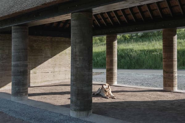 Architectural project - natural shade, countryside vibe, shaded area, concrete columns, natural materials, sustainable materials, timber, raw materials, outdoor space, sustainable design, simple structure, exposed beams, gathering space, beige, brown, concrete, open structure, rural architecture, timber beams, minimalist design, passive cooling, outdoor pavilion, rammed earth, earthy texture, earth tones, modern rustic, green setting, architectural simplicity, landscape view, earthy tones, rustic design, shelter design, countryside architecture, quiet retreat, open pavilion, rural setting, earthy palette, open air, eco architecture