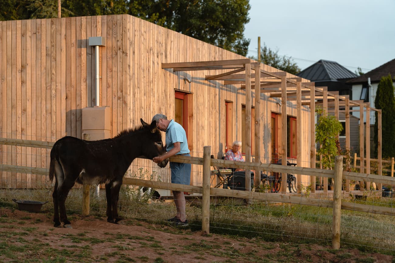Architectural project - minimalist home, pergola, modern barn, contemporary rural, wooden pergola, warm facade, wooden fence, animal-friendly, minimal design, natural materials, wood, timber, outdoor living, sustainable design, warm tones, outdoor area, daylight, wood facade, eco friendly, sunlight, farmhouse style, timber construction, simple design, natural textures, rustic charm, light brown, relaxed atmosphere, outdoor seating, eco home, passive house, timber cladding, countryside home, energy efficient, green living, casual outdoor, rural setting, residential architecture, cozy exterior, countryside retreat, patio area, natural surroundings, wooden building, rural retreat, natural, garden space