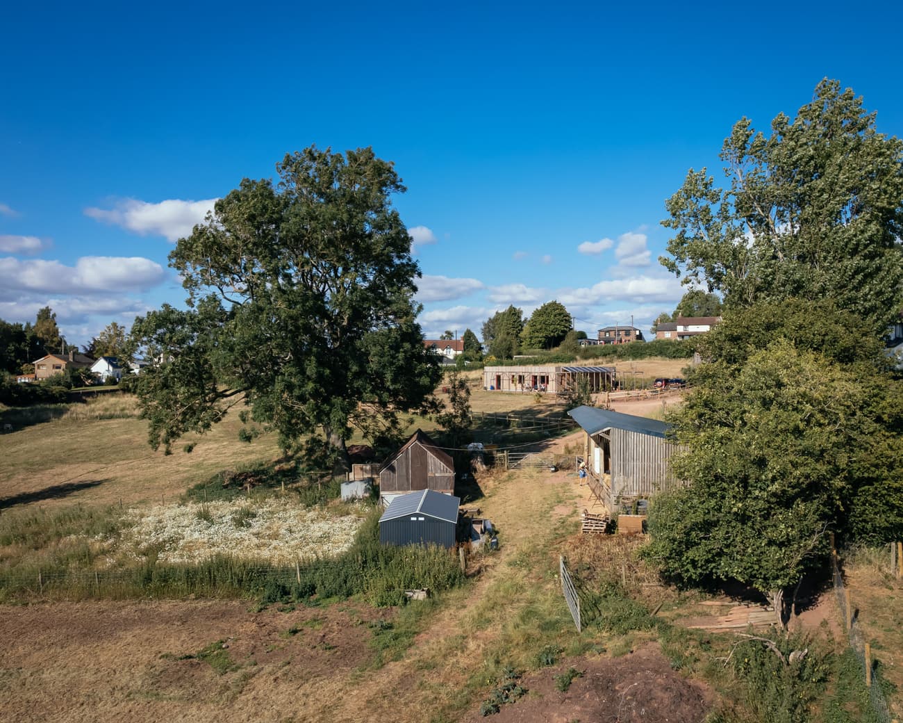 Architectural project - rural landscape, barn, timber barn, nature, farmhouse, pastoral landscape, idyllic setting, wooden fence, wooden structures, rural farm, open fields, farm buildings, rustic scene, pastoral, agricultural land, farm layout, rural vibes, farm life, traditional farm, agrarian, barnyard, sustainable farm, farmland, wood, timber, outdoor space, green, blue, eco friendly, relaxed atmosphere, blue sky, earth tones, scenic view, tranquil environment, countryside, greenery, countryside living, countryside retreat, rural charm, open space, natural surroundings, trees, calm setting, rural retreat